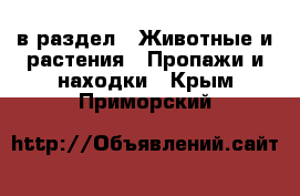  в раздел : Животные и растения » Пропажи и находки . Крым,Приморский